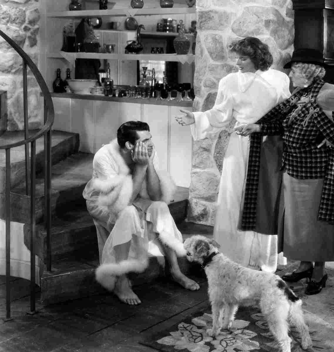 Grant Cary Bringing Up Baby 1 film star poster A4 Photo Print