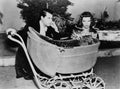 Grant Cary Bringing Up Baby 4 film star poster A4 Photo Print