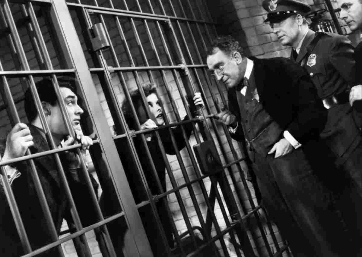 Grant Cary Bringing Up Baby 7 film star poster A4 Photo Print