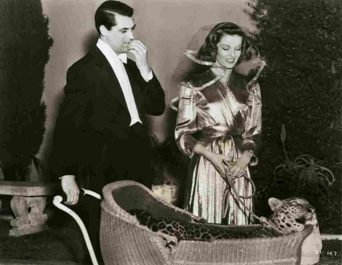 Grant Cary Bringing Up Baby z5S film star poster A4 Photo Print