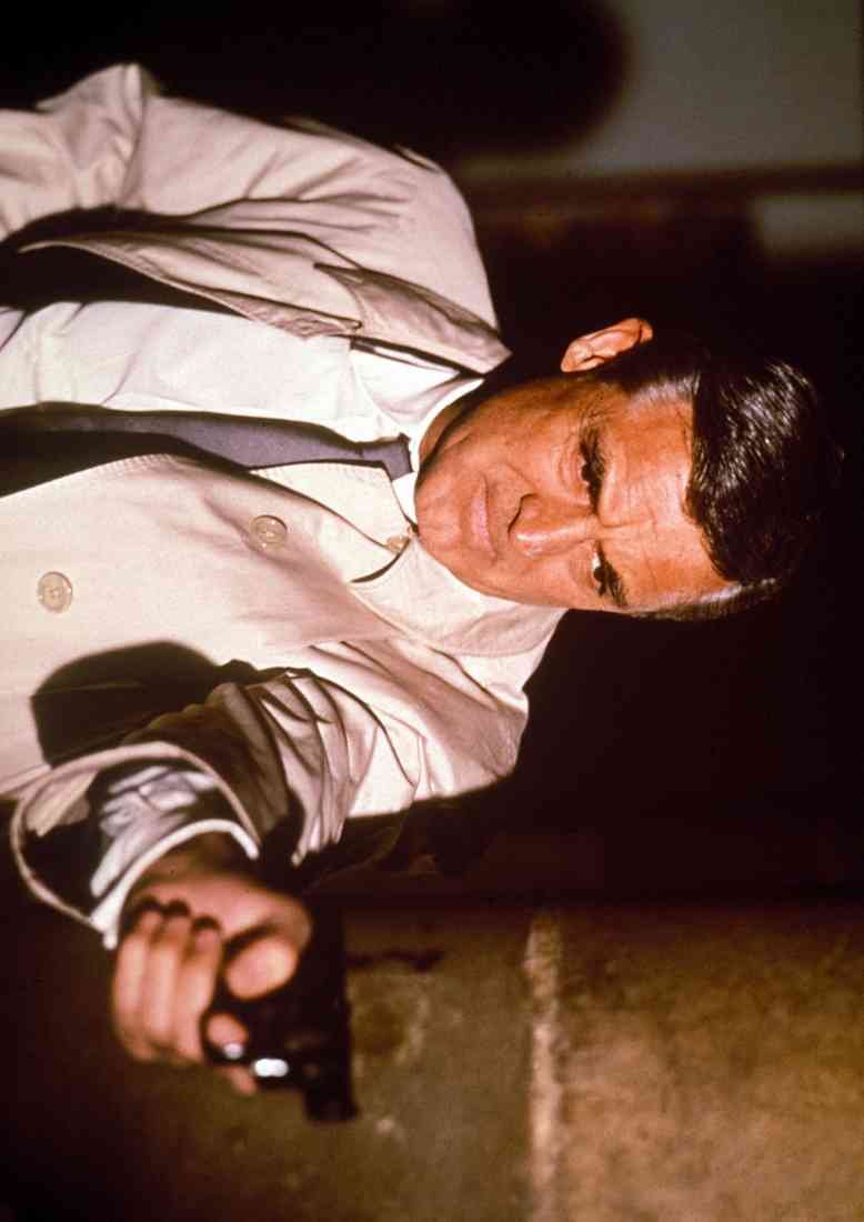Grant Cary Charade 2 A4 Photo Print