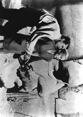 Grant Cary North by Northwest 3 A4 Photo Print