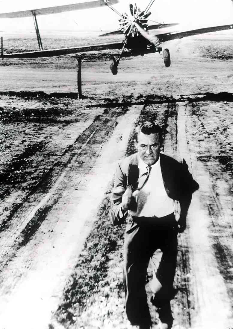 Grant Cary North by Northwest z3 A4 Photo Print