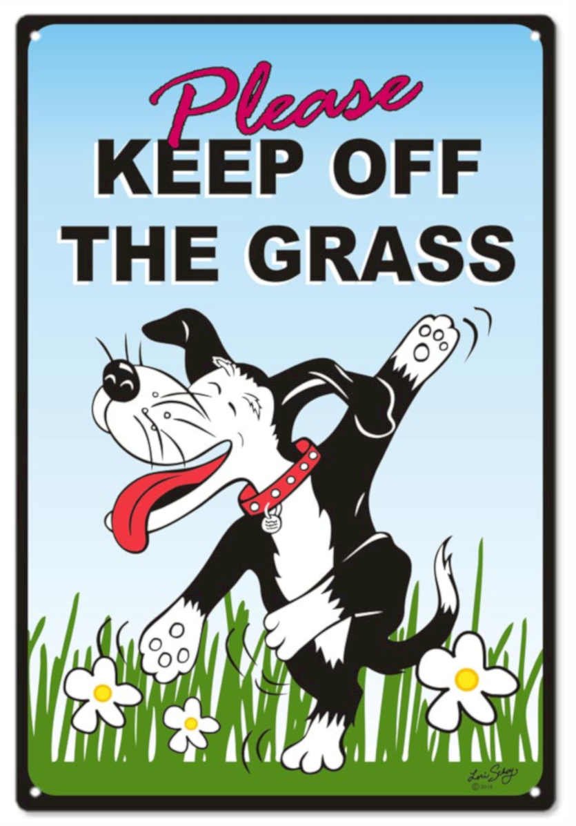 Grass Dog Daisies Vintage Retro Advert Ads A4 Photo Print