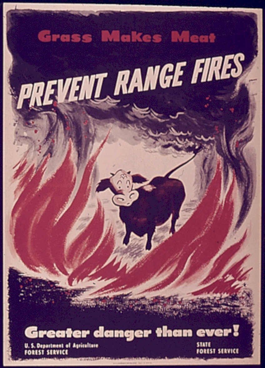 Grass Makes Meat Vintage Retro Advert Poster A4 Photo Print