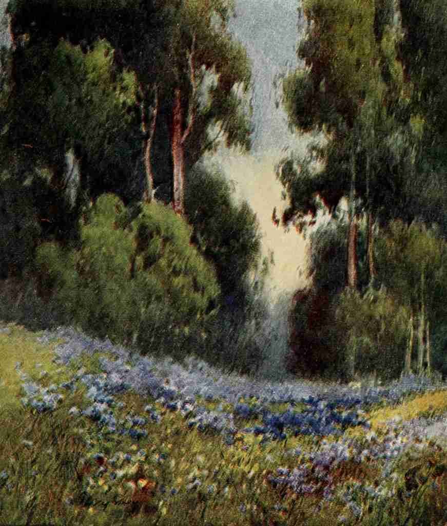 Gray Henry Percy 1869 1952  On Sunset Highways 1921 A forest glade California A4 Photo Print