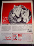 Gray Kittens Basket Vintage Retro Advert Ads A4 Photo Print