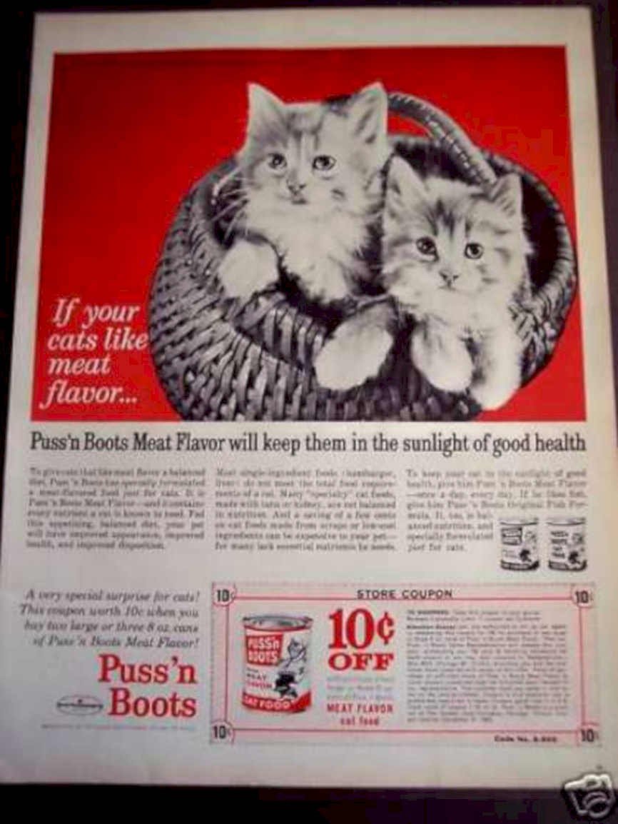 Gray Kittens Basket Vintage Retro Advert Ads A4 Photo Print