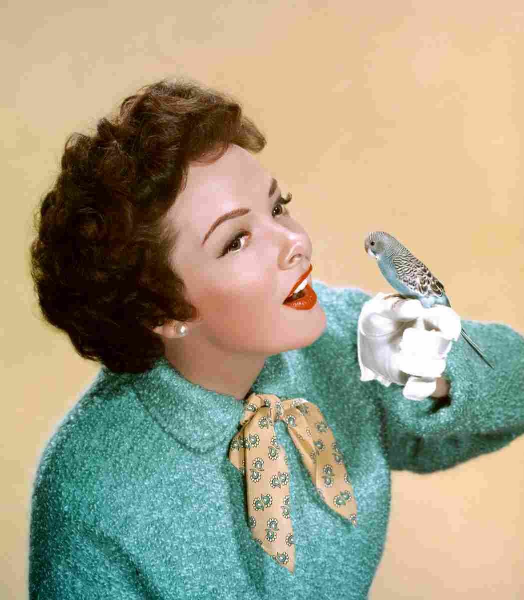 Grayson Kathryn 5C film star poster A4 Photo Print