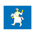 Graziskiai City Flag N6752 A4 Photo Print