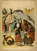 Great Canine Circus Vintage Retro Advert Poster A4 Photo Print