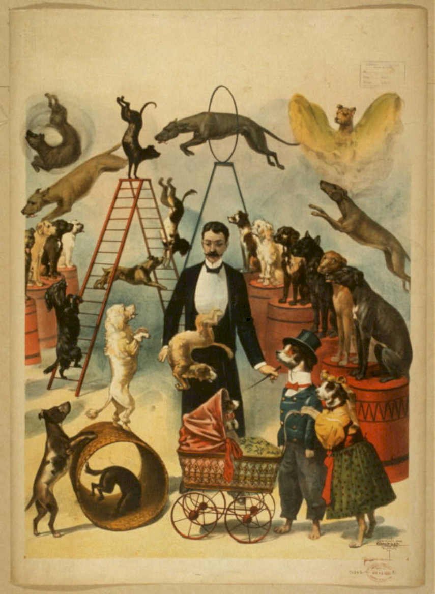 Great Canine Circus Vintage Retro Advert Poster A4 Photo Print