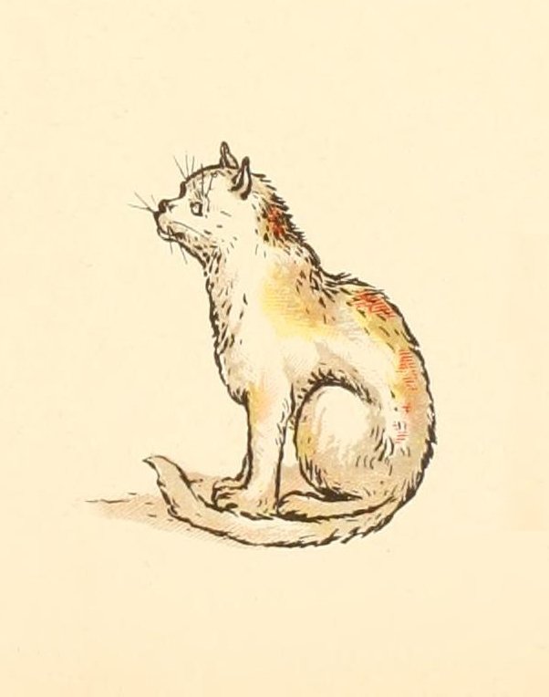 Greenaway Kate 1846 1901 A Apple Pie 1886 Cat A4 Photo Print
