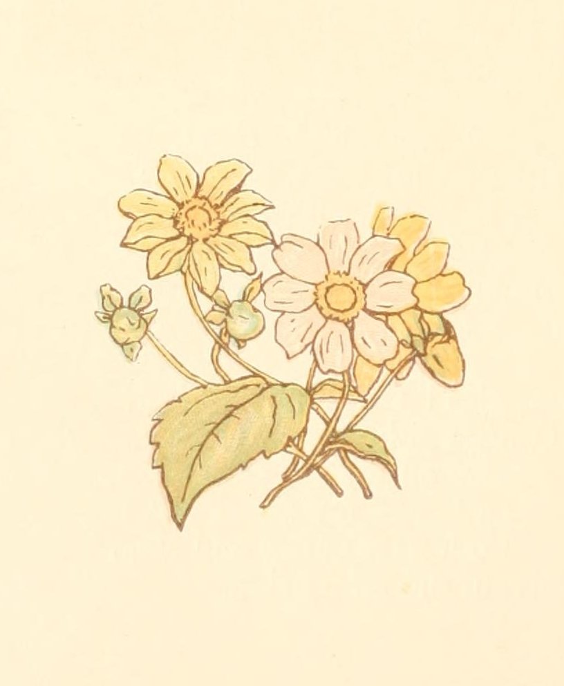 Greenaway Kate 1846 1901 Little Ann and other Poems 1890 Flower posy A4 Photo Print