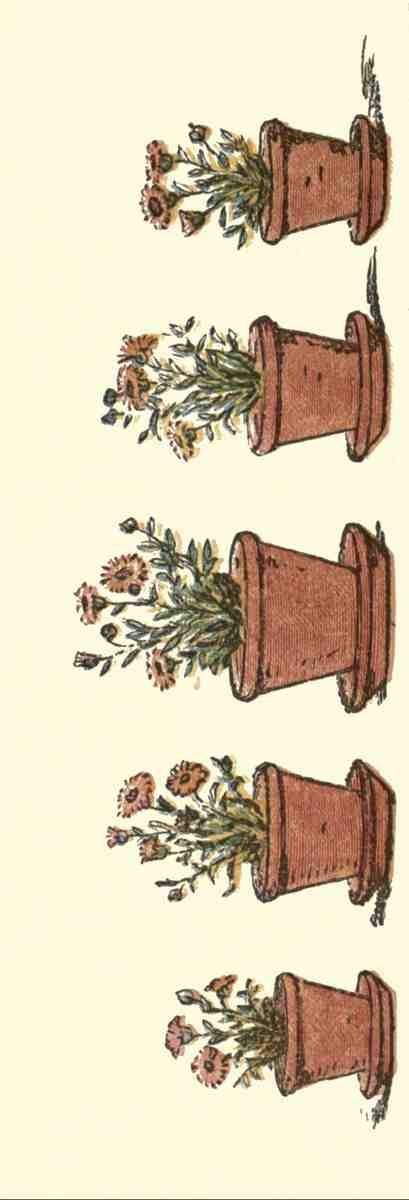 Greenaway Kate 1846 1901 Under the Window 1879 Five flower pots A4 Photo Print