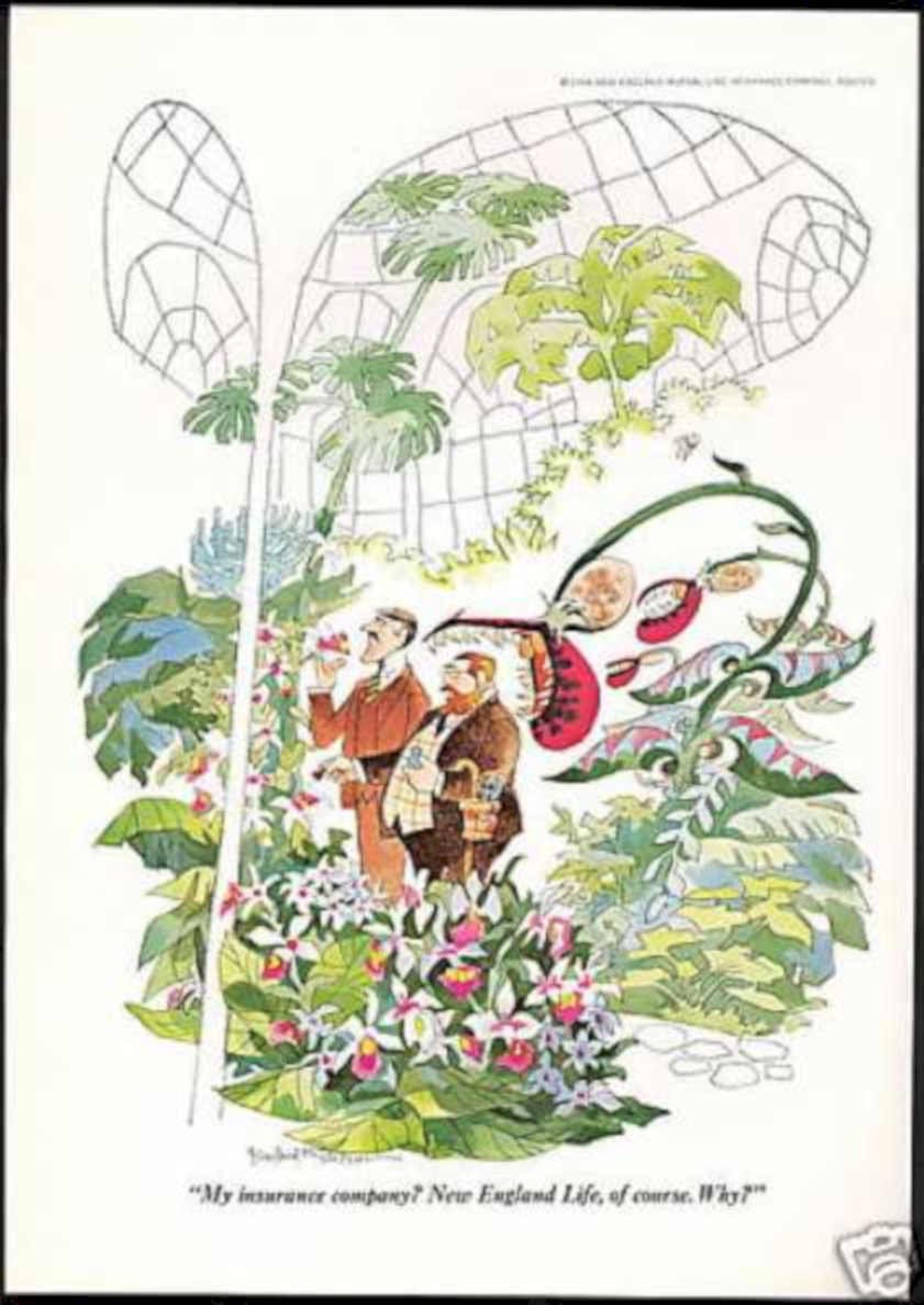 Greenhouse Men Spider Vintage Retro Advert Ads A4 Photo Print