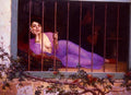 Grimberghe Edmond Comte de L Odalisque Art A4 Photo Print