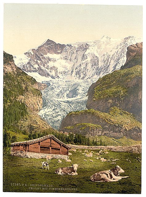 Grindelwald chalet II Bernese Oberland Vintage A4 Photo Print