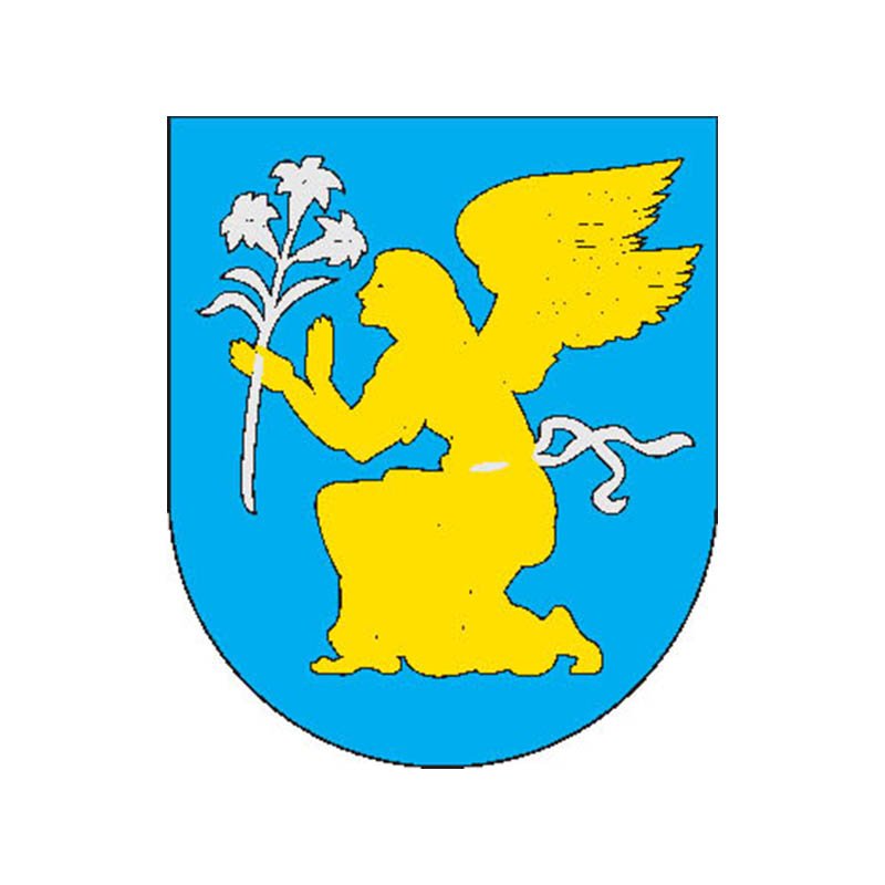 Grinkishkis City Coat Of Arms N5419 A4 Photo Print