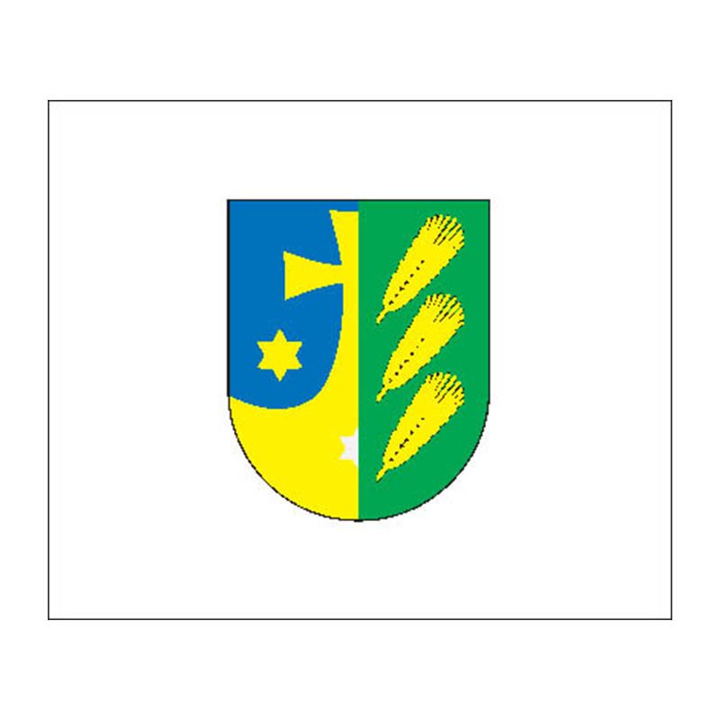 Grishkabudis City Flag N1007 A4 Photo Print