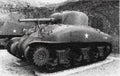 Grizzly Tank A4 Photo Print