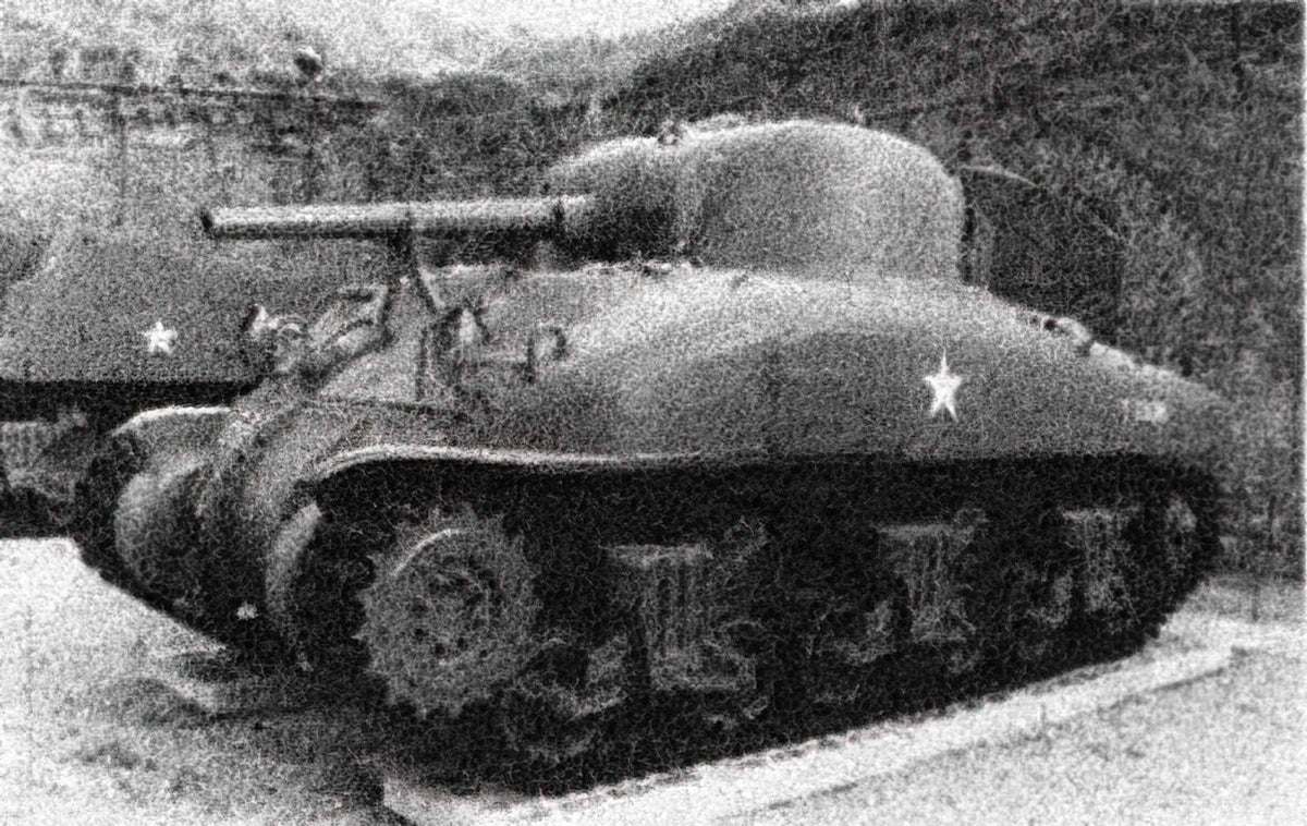 Grizzly Tank A4 Photo Print