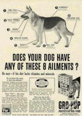 Gro Pup Husky Vintage Retro Advert Ads A4 Photo Print