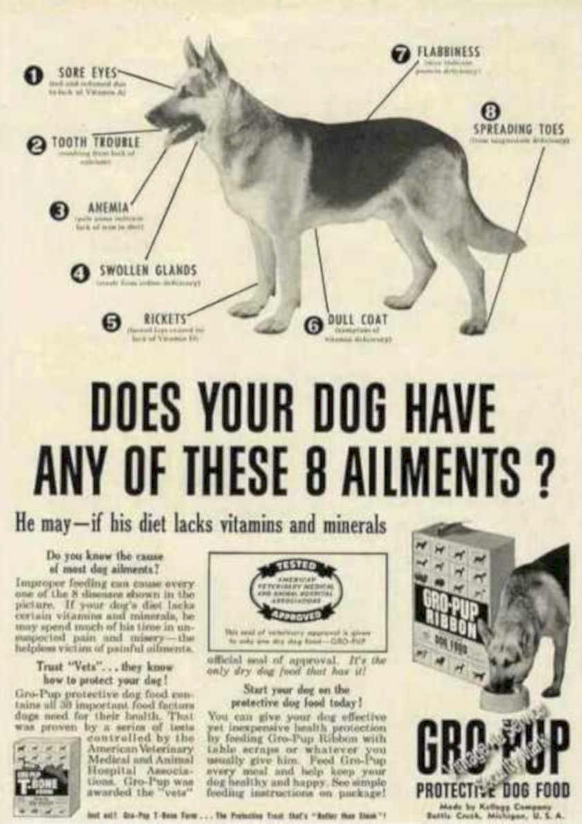 Gro Pup Husky Vintage Retro Advert Ads A4 Photo Print