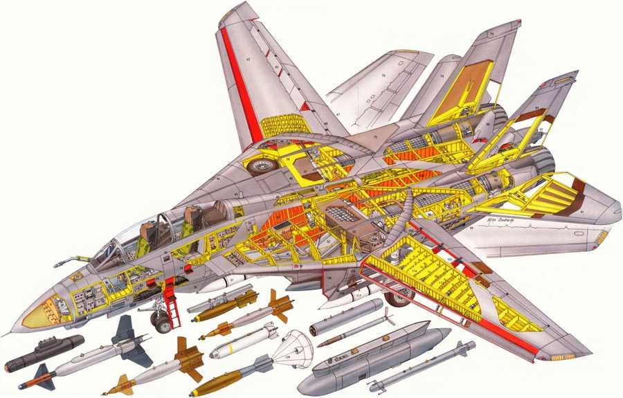 Grumman F 14 Tomcat cutaway A4 Photo Print
