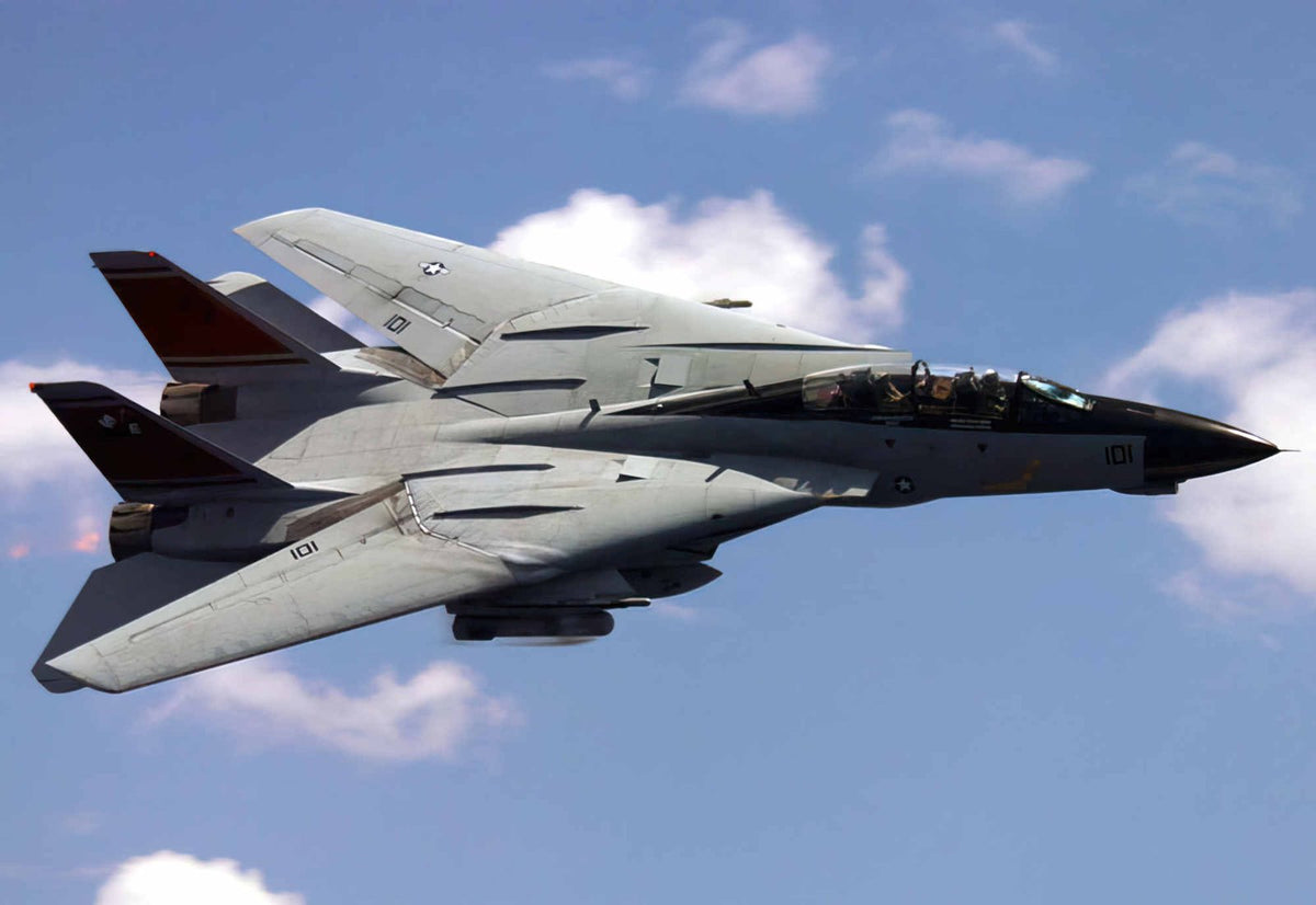 Grumman F14 Tomcat Swing Wing Carrierborne Navy Fighter United States 22 A4 Photo Print