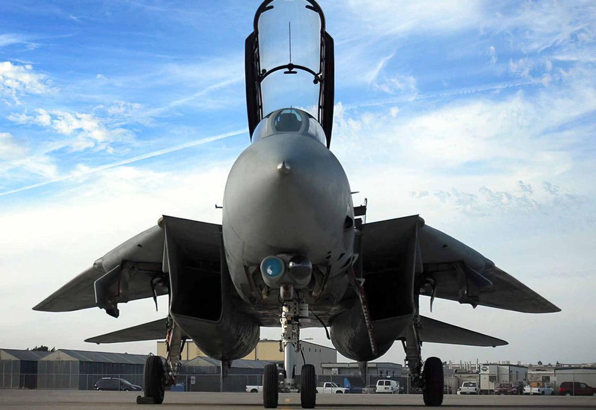 Grumman F14 Tomcat Swing Wing Carrierborne Navy Fighter United States 23 A4 Photo Print