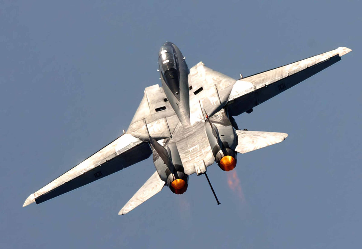 Grumman F14 Tomcat Swing Wing Carrierborne Navy Fighter United States 24 A4 Photo Print