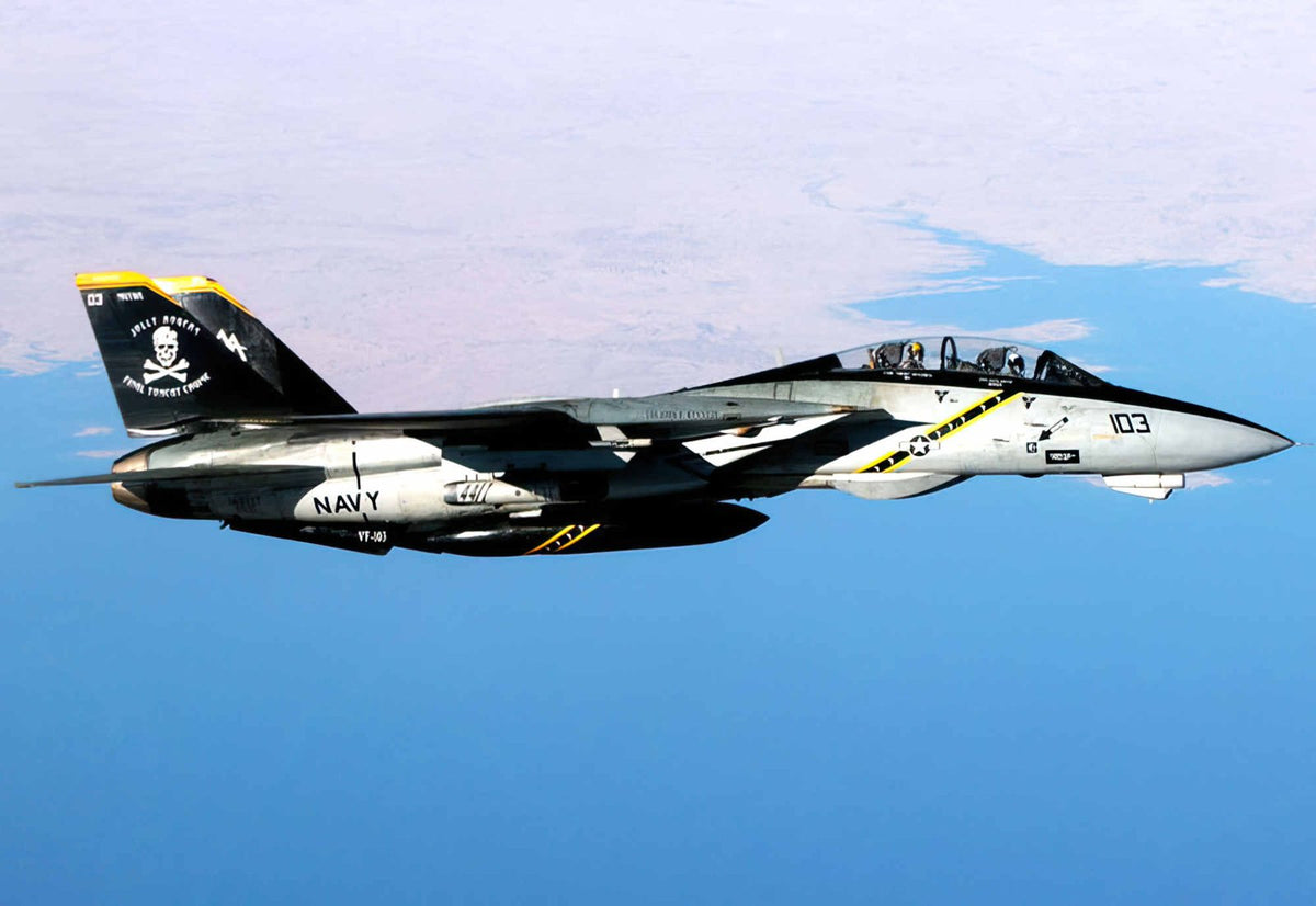 Grumman F14 Tomcat Swing Wing Carrierborne Navy Fighter United States 25 A4 Photo Print