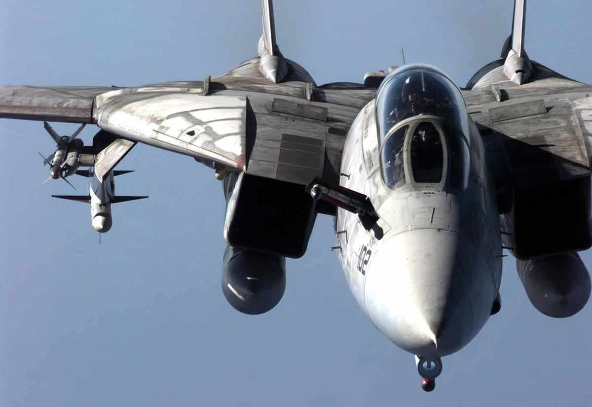 Grumman F14 Tomcat Swing Wing Carrierborne Navy Fighter United States 26 A4 Photo Print