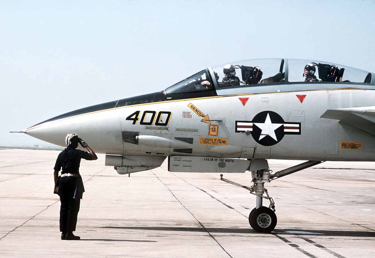 Grumman F14 Tomcat Swing Wing Carrierborne Navy Fighter United States 29 A4 Photo Print