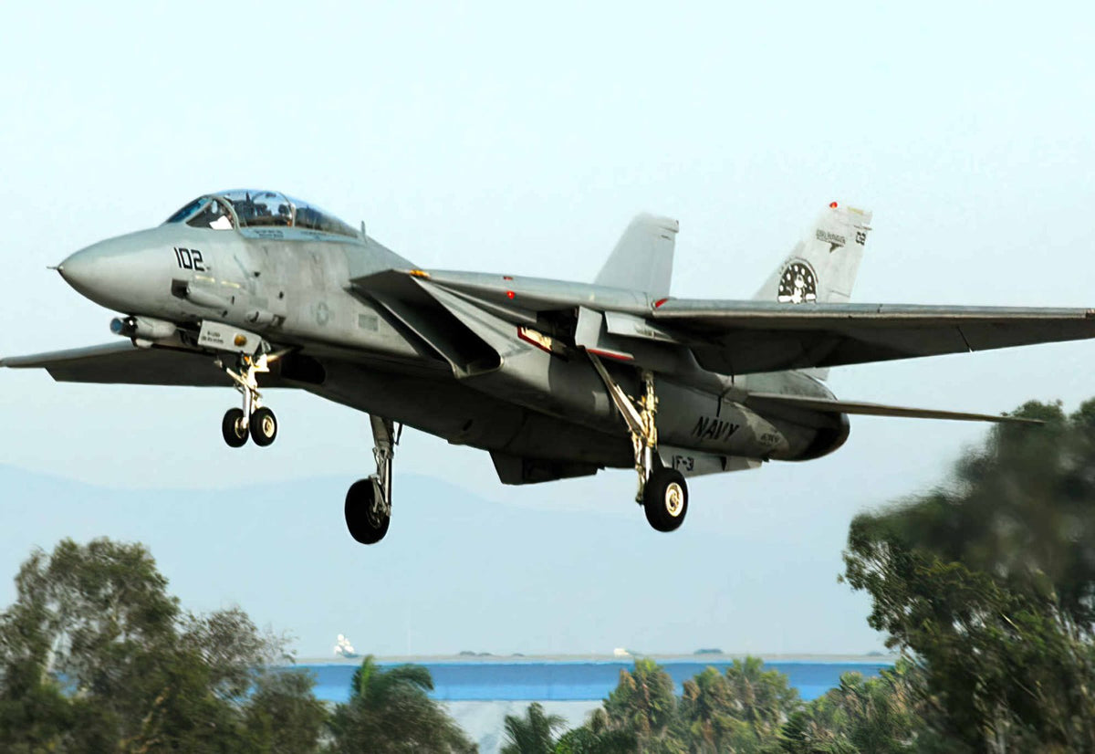 Grumman F14 Tomcat Swing Wing Carrierborne Navy Fighter United States 30 A4 Photo Print
