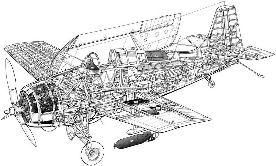 Grumman F4F Wildcat cutaway A4 Photo Print