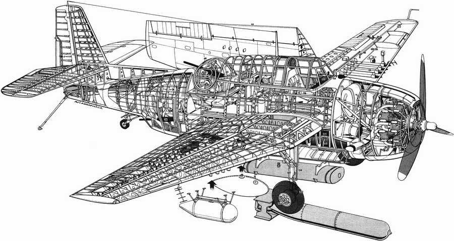 Grumman TBF Avenger cutaway A4 Photo Print