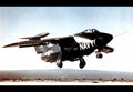 Grumman Xf10f Jaguar Navy Fighter Prototype United States A4 Photo Print