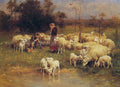 Guarding the Flock Art A4 Photo Print