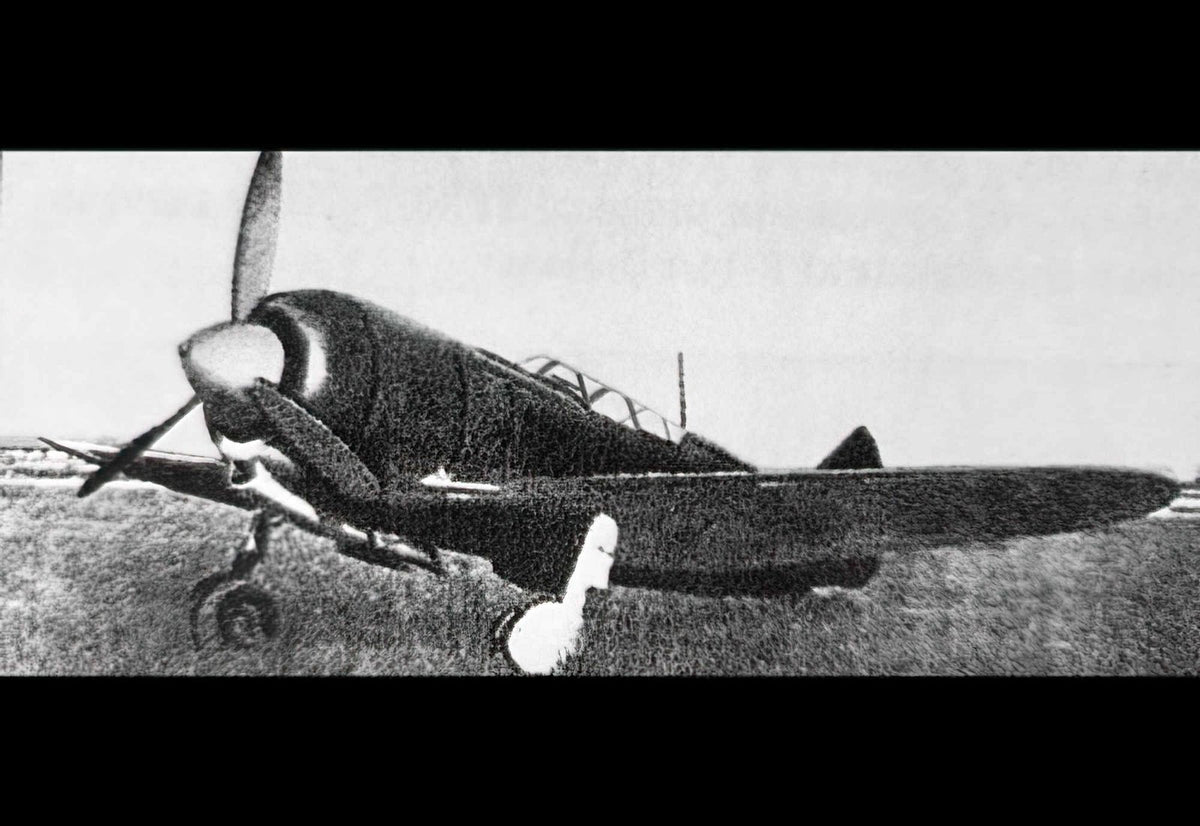 Gudkov Gu82 Monoplane Fighter Soviet Union A4 Photo Print
