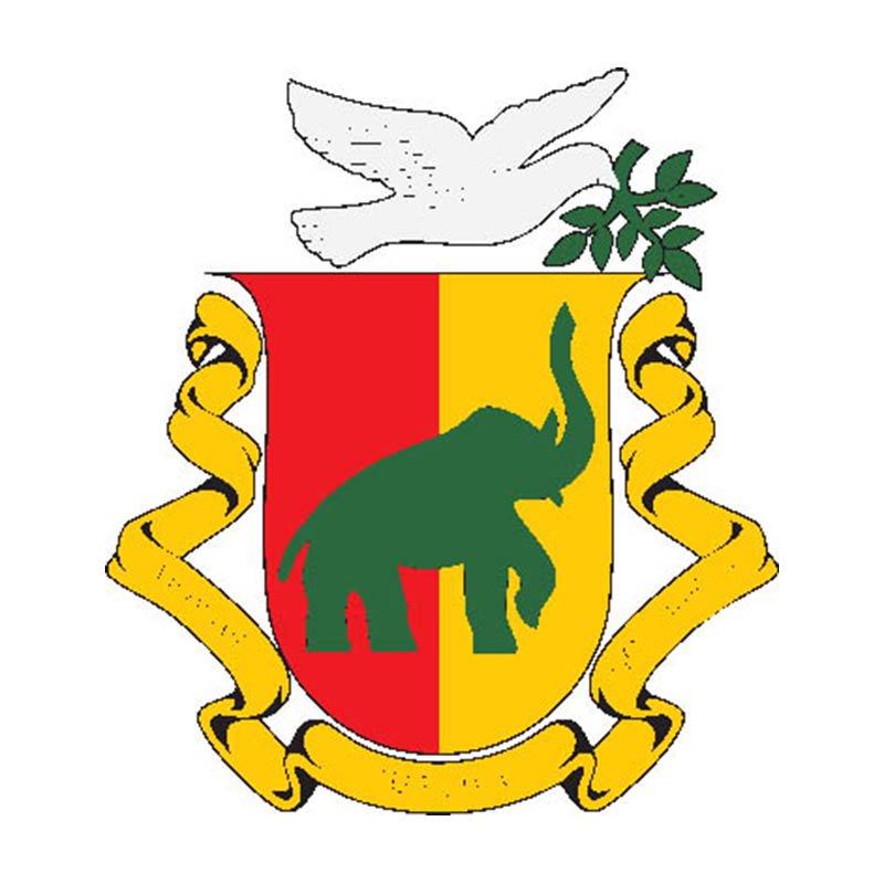 Guinea Coat Of Arms N6361 A4 Photo Print