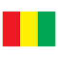 Guinea Flag N4923 A4 Photo Print