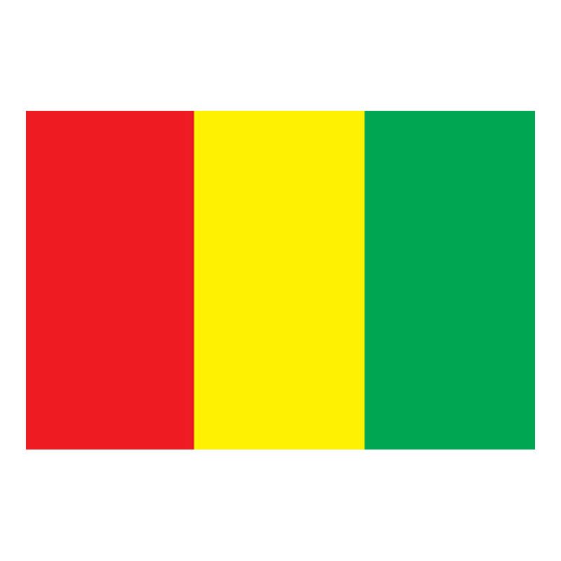 Guinea Flag N4923 A4 Photo Print