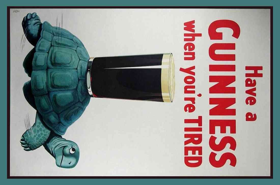 Guinness Tortoise 3 tired 2016 A4 Photo Print
