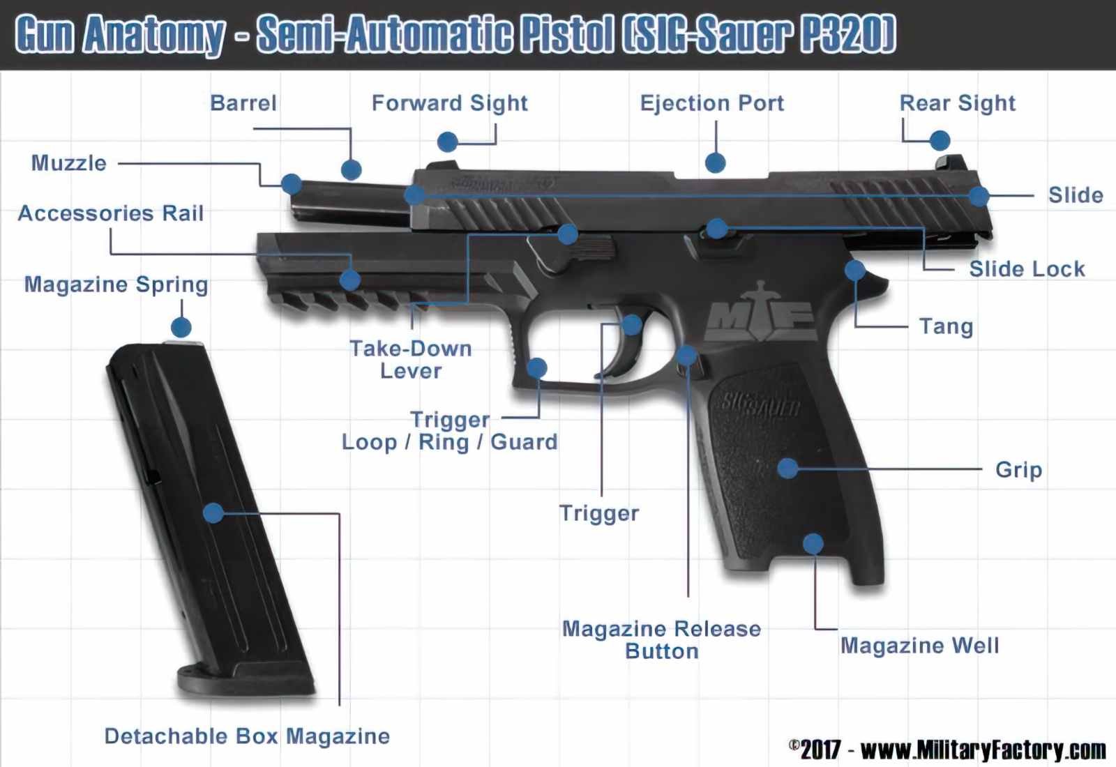 Gun Anatomy A4 Photo Print