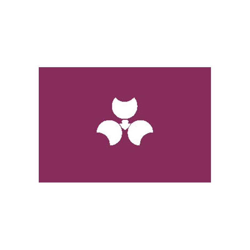 Gunma Pref Flag N2533 A4 Photo Print