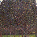 Gustav Klimt 45 5 A4 Photo Print