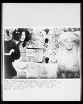 Gustav Klimt 97 5 A4 Photo Print