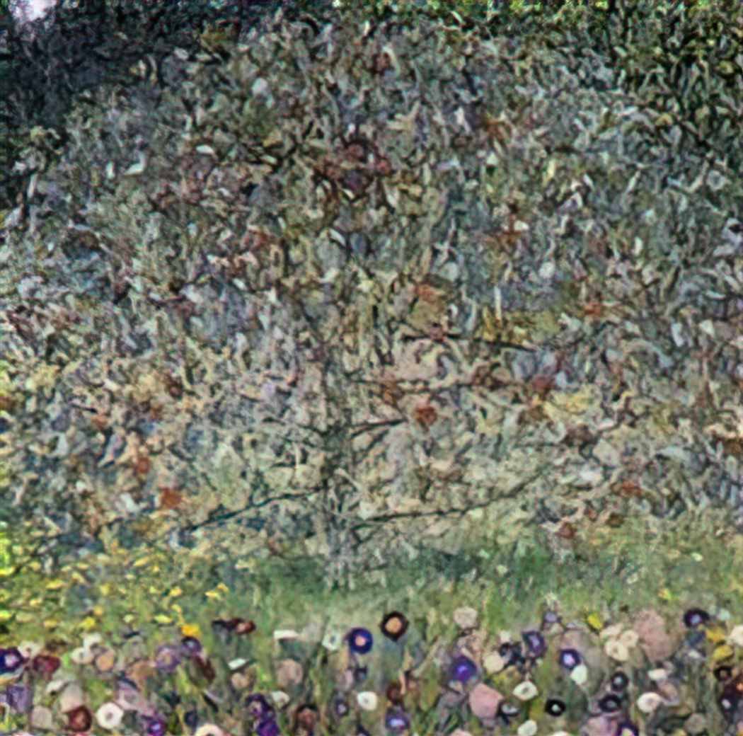 Gustav Klimt apple tree i Art A4 Photo Print UK